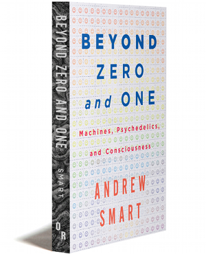 beyond zero and one cover